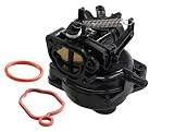 Fuerdi 799584 Carburetor for Briggs & Stratton Engines 550EX 09P702 9P702 Model