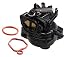 Fuerdi 799584 Carburetor for Briggs & Stratton Engines 550EX 09P702 9P702 Model primary