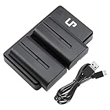 LP NP-F550 Battery Charger Pack, 2-Pack Battery & Dual Slot Charger, Compatible with Sony NP F970, F960, F770, F750, F570, F550, F530, F330, CCD-SC55, TR910, TR917, CN160, CN-216 LED Light & More