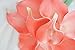 Lily Garden Mini 15