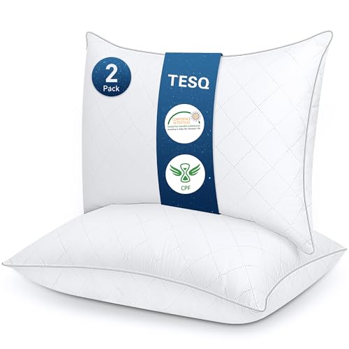 TESQ Set of 2 Luxury Hotel Quality Pillows, 50 x 70 cm, Soft, Breathable and Hypoallergenic, Oeko-TEX Certified, Suitable for All Sleeping Positions
