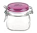 Bormioli Rocco Fido Square Jar with Fuchsia Lid, 17-1/2-Ounce
