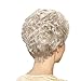 Silver-white Short Wigs for Women Fluffy Natural Wigs for Cosplay Middle-Aged and Old People