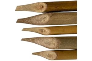 Bamboo Reed Arabic Calligraphy Qalam/Pen (Set of 5 Piece)