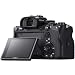 Sony a7R IV Full-Frame Mirrorless Camera Body + Tamron 28-75mm F2.8 Di III RXD Full Frame Lens ILCE-7RM4 + A036 Bundle with Photo Video LED, Monopod,64GB, Software, Deco Gear Backpack & Accessoriesthumb 4