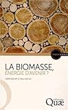 La biomasse, énergie d'avenir ? (Enjeux sciences) (French Edition) by 