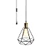 Pauwer Wire Cage Pendant Light Plug in Vintage Pendant Light with On/Off Switch (Black B)