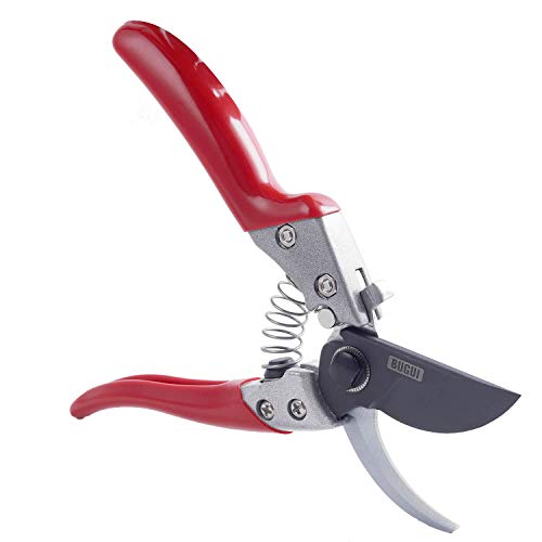 BUGUI Garden Pruning Shears, Sharp SK-5 Steel Blade Makes Each Cut Smooth & Clean, Professional Gardening Scissors for Small or Medium Size Hands (Both Left and Right)