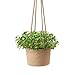 Mkono Jute Rope Hanging Planter Woven Plant Basket Indoor Up to 7