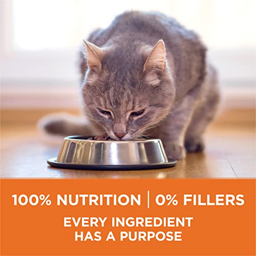 Purina ONE High Protein, Healthy Weight Dry Cat Food, +Plus Ideal Weight With Turkey 7 lb. Bag