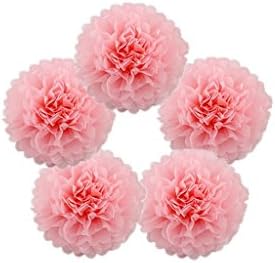 Hanzen 5 Pcs Mixed 10" 14" Pink Tissue Paper Pom Poms Flower Balls For Birthday Wedding Party Baby Shower Outdoor Decorations (pink)