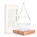 Storm Glass Weather Forecast Weather Station, GMISS Creative Fashion Weather Forecaster, Storm Glass Bottle Barometer on Wooden Base, Home and Office Decor & Gifts（large）
