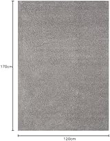 THE RUGS Living Room Rug Grey Shaggy 120x170 cm Soft Durable 30 mm view 2