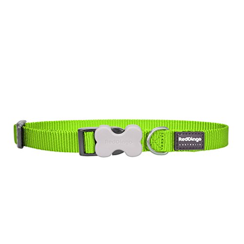 Red Dingo Classic Lime Green Dog Collar, Small/12mm