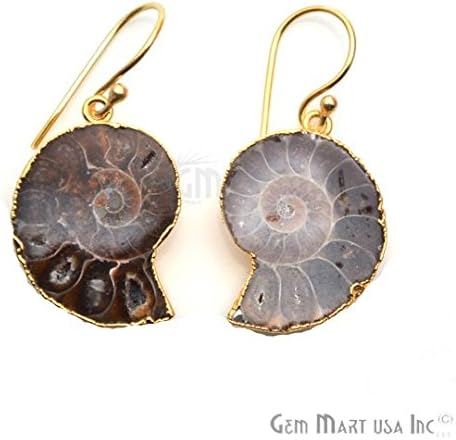 GemMartUSA Ammonite Dangle Earring, Hook Earrings,Gemstone Earrings, Dangle Earring (ANER-90049)