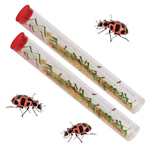 Insect Lore Live Baby Ladybug Larvae - Ladybug Growing Kit REFILL with Ladybug Life Cycle Toy Figurines - SHIP NOW