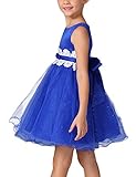 GloryStar Girl's Bubble Skirt Lace Flower Princess Dress