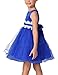 GloryStar Girl's Bubble Skirt Lace Flower Princess Dress