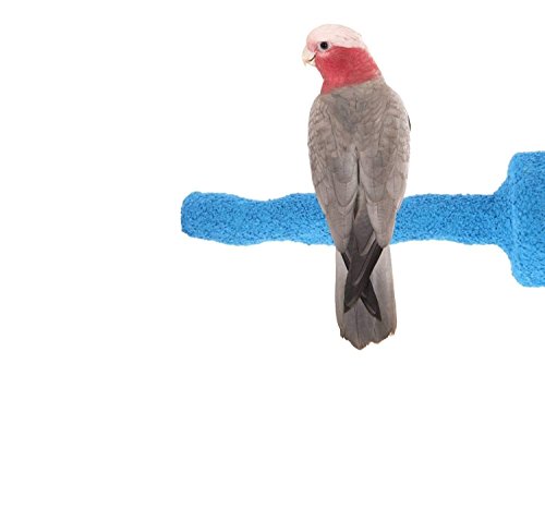 Sweet Feet and Beak Thermal-Lite Natural Patented Perch, Medium - Blue- Perfect for Keeping Your Bird's Feet and Beaks Healthy