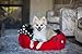 Disney Classic Mickey Mouse Rectangular Cuddler Pet Bed with Pillow Cushion Insert in Red, Machine Washable, 24 x 22/One Size, Model:DIS-RCT-MBH-RDH-2422