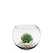 CYS EXCEL Glass Bubble Bowl H:4.5