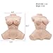 Y-NOT Male Masturbation Sex Toy, Sex Doll Torso for Men with Lifelike Design and Heating Rod, for Realistic Vagina, Breast, Anal Sex