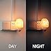 Home Decoration Mini Hand-carved Natural Crystal Salt lamps Himalayan Salt Night Light Lamp Wall Light Nursery Nightlight US Plug