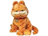 Ty Garfield