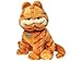 Ty Garfield