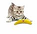 Petstages Green Magic Boomerang Buddy Catnip Cat Toy