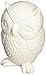Kikkerland Owl Coin Bank