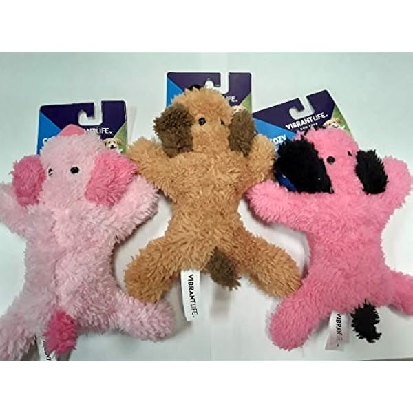 vibrant life dog toys playful buddy