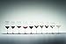Riedel Veritas New World Pinot Noir Glass