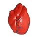 ARIEL Heart with Veins Stress Toy