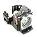 Sanyo Promethean PRM-20 Projector Assembly with High Quality Bulb