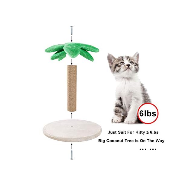 coco palm cat scratching post