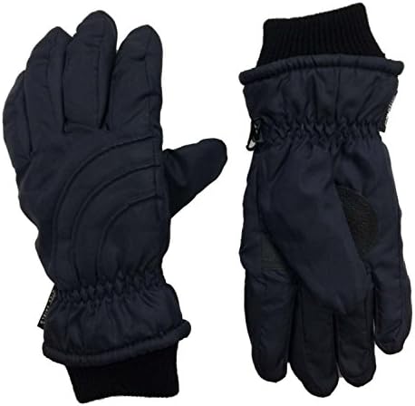 Windshield Womens Navy Blue Duradry Ski &amp; Snow Gloves Large