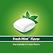 Nicorette Nicotine Gum Fresh Mint 2 milligram Stop Smoking Aid 100 count