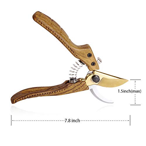 Oara SK-5 Steel Hand Pruners for Garden, Garden pruners Shears, Pruning Shears Garden, Garden Shears Clippers for Plants, Clippers for Garden Work