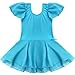 TiaoBug Girls' Sheer Ruffle Short Sleeve Tutu Skirted Ballet Dress Gymnastic Leotard for Dance/Ballet/Trainning Size 3-4 Blue