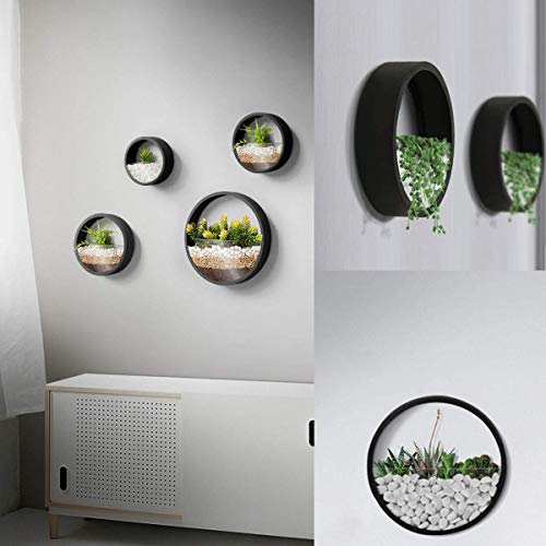 3 Pack Set Modern Wall Planters Succulent Planter, Circle Metal Flower