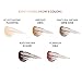 PONY EFFECT Contoured Brow Color Collection (Natural Brown)