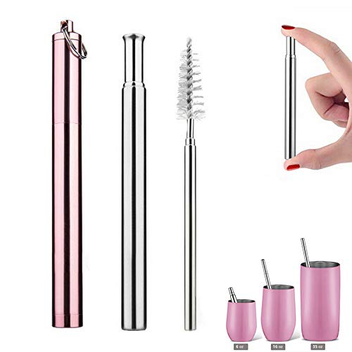 Topgogo Reusable Straws Collapsible,304 Stainless Steel Telescopic Drinking Straw Food-Grade design,Portable Set Hard Case with Cleaning Brush keychain for Travel,Outdoor,Party