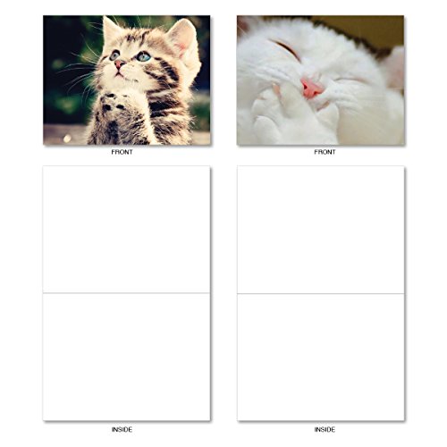Kitten Themed Note Cards (Box of 10) - Assorted Cat 'Smitten Kitten' Blank Greeting Cards with Envelopes - Adorable All Occasion Cat and Animal Stationery 4 x 5.12 inch - NobleWorks M6485OCB - Thumbnail 5