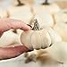 12 Piece Package of Assorted Harvest Off White Artificial Gourds and Pumpkins for Fall and Thanksgiving