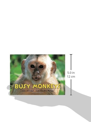Busy Monkeys (A Busy Book) - Thumbnail 2