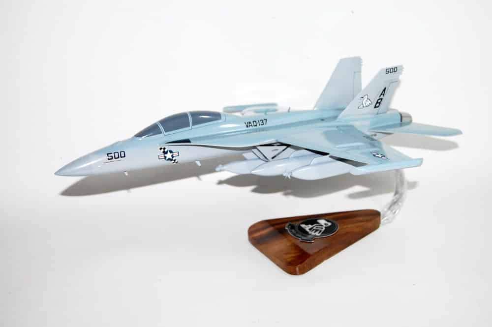 VAQ-137 World Famous Rooks EA-18G Model