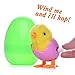 12 PCs Filled Easter Eggs with Wind Up Toys Chicks & Bunnies, 3.74