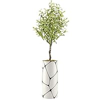SIGNWIN Olive Tree with Giant Black & White Polygon Vase Geometric Shapes Minimalism Zen Dramatic Dark for Living Room, Bedroom, Office - X-Large 5 Feet (60
