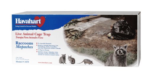 1 Havahart+1+Door+Raccoons+Groundhogs+Opossums